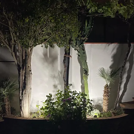 House דירה